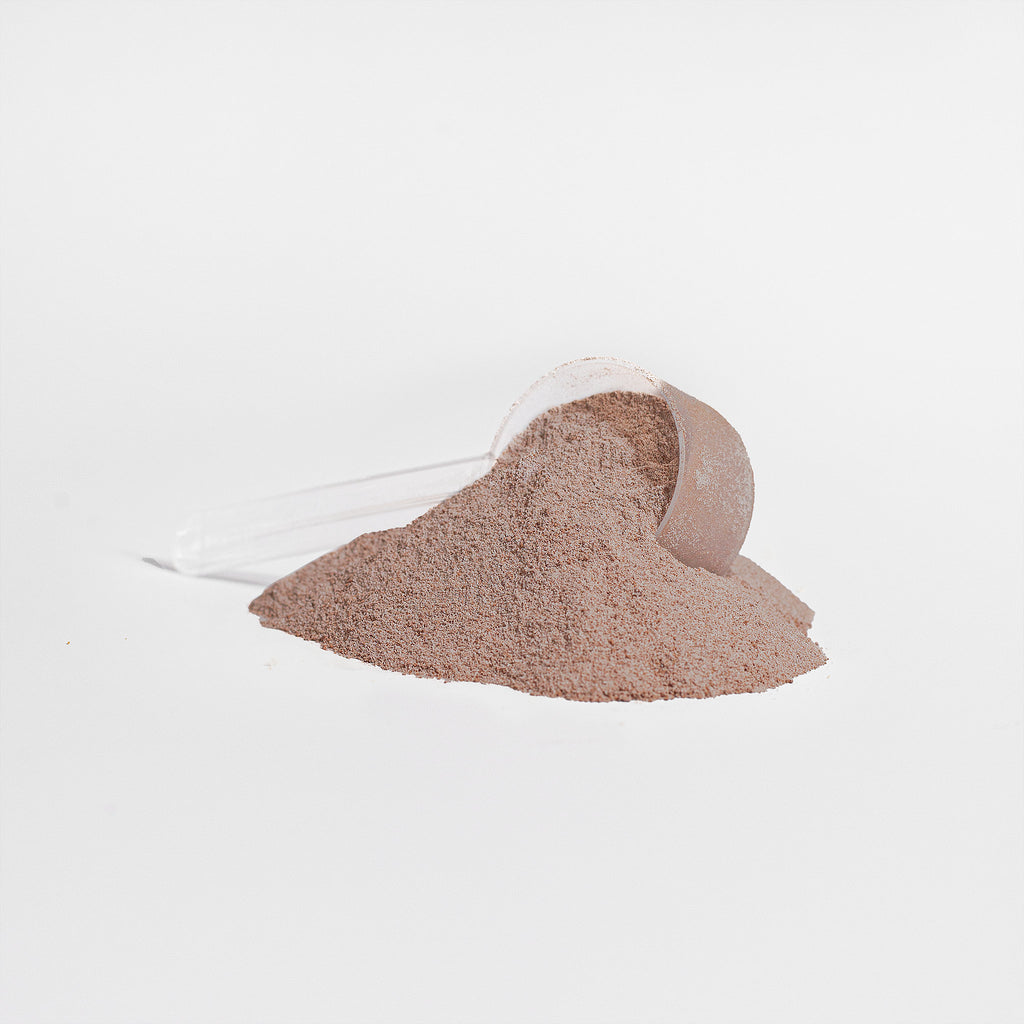 REBOUND Whey Protein Isolate (Chocolate)